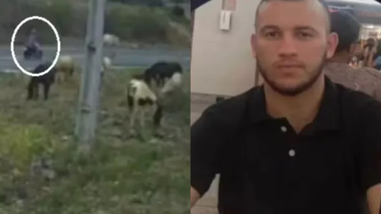 Homem Morre Após Colisão de Moto Com Cavalo na CE-187 Entre Novo Oriente e Crateús