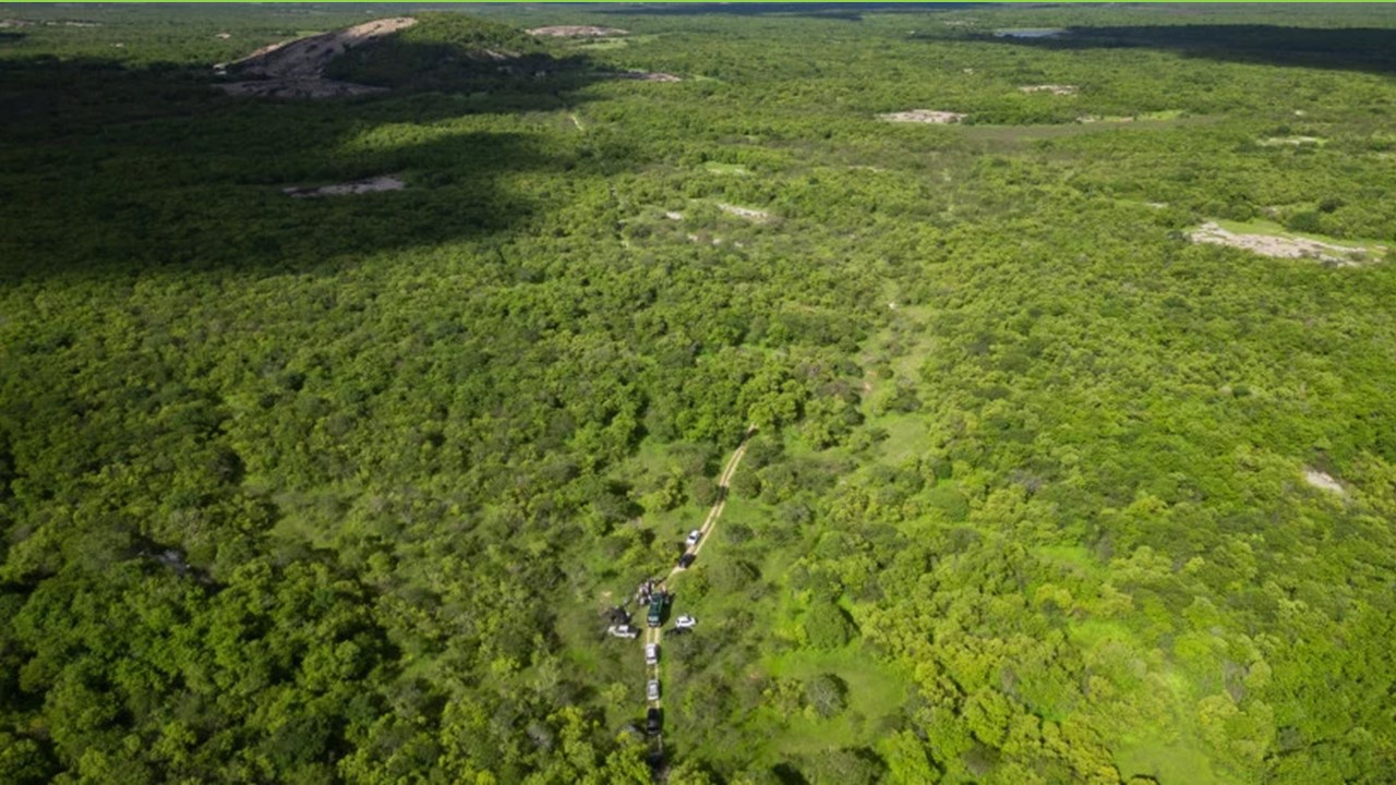 Duas Cidades Cearenses Estão Entre as Sete do Brasil em Estado de Emergência Por Seca ou Estiagem
