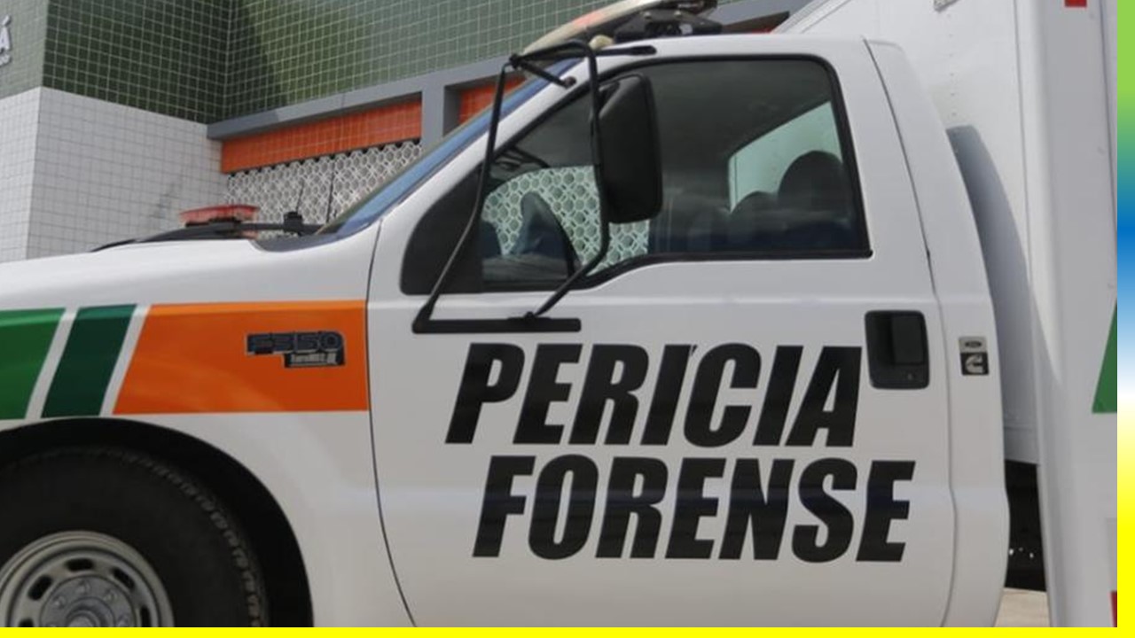 Em Meruoca, Árvore Cai e Mata Homem