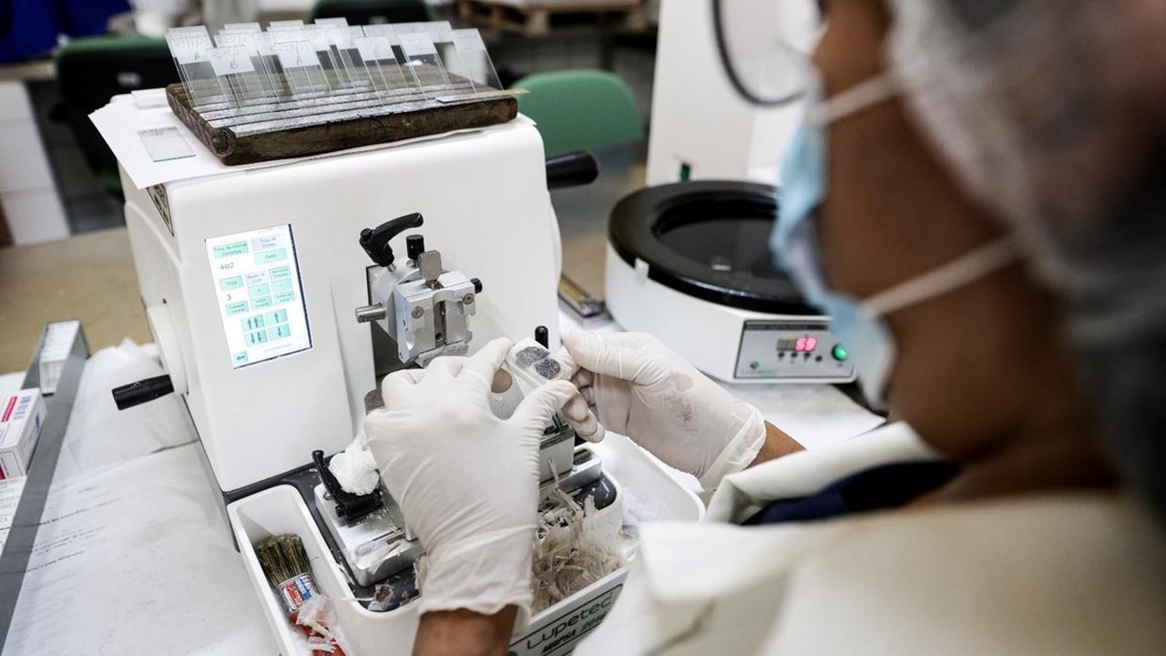 Ceará Quer Ampliar Rede Que Investiga Óbitos ‘Misteriosos’