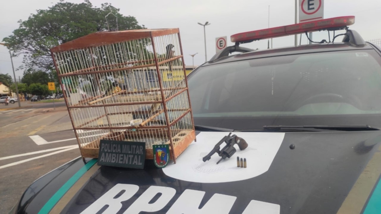 Em Juazeiro do Norte, Polícia Flagra Homem Com Arma e Aves Silvestres